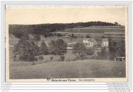 MEIX  ..-- Vue Champêtre . 1951 Vers SENEFFE ( Mr Mme CHARLIER - DEJEAN ) . Voir Verso . - Meix-devant-Virton