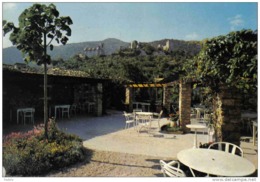 Carte Postale 84. Oppede-le-Vieux Restaurant  Le "Cîte" Ancienne Cité Romaine  Très Beau Plan - Oppede Le Vieux