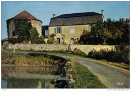 Carte Postale 87. Bussière-Poitevine  Le Chateau  Très Beau Plan - Bussiere Poitevine