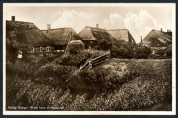 B2982 - Hallig Hooge - Warft Beim Königspesel - Ferdinand Albertsen - Sonderstempel - Halligen