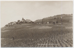 Vue Générale De Grandvaux - Grandvaux