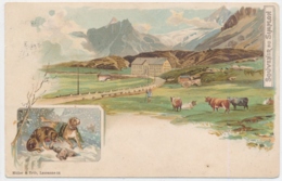 Souvenir Du Simplon - Simplon