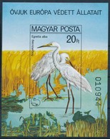 ** 1980 Madarak - Védek Vízimadarak Vágott Blokk (6.000) - Autres & Non Classés