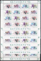 ** 1996 NATUREXPO 5 Db Teljes ív (12.500) - Other & Unclassified