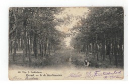 Zoersel - In De Mastbosschen 484. Uitg. J. Derkinderen1906 - Zoersel