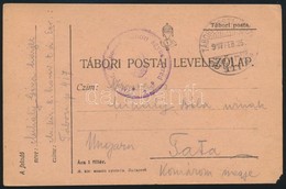 1917 Tábori Posta Levelezőlap / Field Postcard 'M.kir. 8. Honvédtábori ágyús Ezred' + 'TP 417' - Altri & Non Classificati