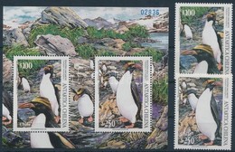 ** 1995 Pingvinek Sor + Blokkk,
Penguins Set + Block
Mi 1684-1685 + Mi 32 - Autres & Non Classés