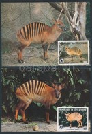 1985 WWF Zebra-bóbitásantilop Sor Mi 881-884 4 CM - Sonstige & Ohne Zuordnung