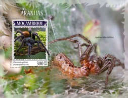 Mozambique. 2019 Spiders. (0414b)  OFFICIAL ISSUE - Ragni