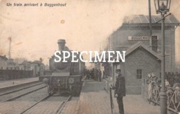Un Train Arrivant à Buggenhout - Buggenhout