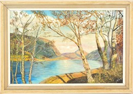 Gray Jelzéssel: Hegyvidéki Tó. Olaj, Farost, Keretben, 29×44 Cm - Other & Unclassified