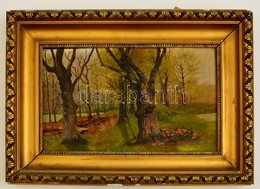 Olvashatatlan Jelzéssel: Erdőrészlet. Olaj, Karton, Keretben, 19×29 Cm - Other & Unclassified