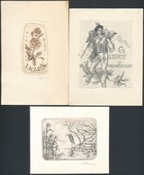 3 Db Rézkarc, Ex Libris, Különféle Magyar és Külföldi Alkotóktól / 3 Etchings From Different Hungarian And Foreign Artis - Otros & Sin Clasificación