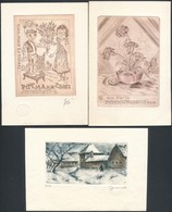 6db Ex Libris Rézkarc, Papír,  Jelzett, Sterbenz, Nagy Árpád, és Mások  / Etched Bookplates - Otros & Sin Clasificación