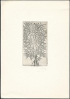 3 Klf Külföldi Alkotótól (Olev Soans, A. Drobnik.)  Származó Ex Libris Rézkarc, Papír,  Jelzett,  / Etched Bookplates - Altri & Non Classificati