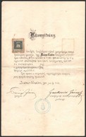 1908 Szatmárnémeti Szalma és Kosárfonó Tanfolyam Kézzel Készített Bizonyítványa - Ohne Zuordnung