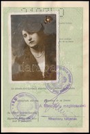 1929-1931 Férj és Feleség 2 Db Fényképes Magyar útlevele, Osztrák és Csehszlovák Bejegyzésekkel, Viseltes Borítóval - Ohne Zuordnung