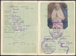 1930 Magyar Királyság által Kiadott Fényképes útlevél / Hungarian Passport - Sin Clasificación