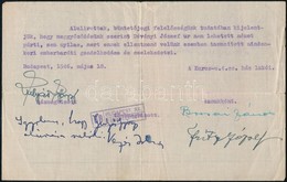 1946 Nyilas Vád Alóli Tisztázáshoz Igazolás - Unclassified