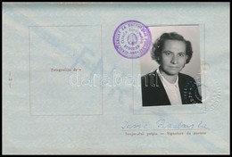 1960 Fényképes Jugoszláv útlevél Olasz, Francia, Svájci Bejegyzésekkel - Ohne Zuordnung