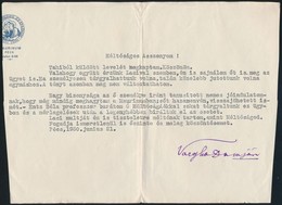 1930 Vargha Damján (1873-1956) Egyetemi Tanár, Irodalomtörténész, MTA Tag, Pécsi Egyetemi Rektor (1941/1942) Gépelt Sora - Other & Unclassified