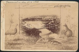 1888 Ausztrália, Brisbane  St. Launceston Látkép, Rajzolt Kerettel, Keményhátú Fotó, 11×17 Cm - Autres & Non Classés
