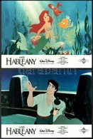 Filmfotók: Kis Hableány. Disney. 6 Db 24x18 Cm - Autres & Non Classés