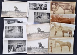 Cca 1910-1920 Vegyes Katonai Fotó Tétel, 20 Db Fotólap, Ismétlődésekkel, Éder Győző (1890-1980) M. Kir. Ny. Huszáralezre - Other & Unclassified