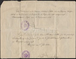 1896 Tartalékos Hadnagyi Kinevezés, Rajta Későbbi Hivatalos Feljegyzésekkel - Other & Unclassified