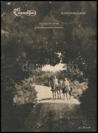 1915. November 14. Az Érdekes Újság , III. évf. 46. Szám, Benne Számos Katonai Fotó Az I. Vh. Szereplőiről, Eseményeiről - Sonstige & Ohne Zuordnung