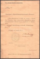 1940 Országos Légvédelmi Parancsnoki Elismerés Erdély Visszatértekor Kifejtett Szolgálatért . - Other & Unclassified