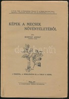 Horváth Adolf: Képek A Mecsek Növényéletéből. Pécs, 1942, Ciszterci Rend, (Taizs József-ny.), 103+1 P.+12 T.+ 1 Térkép.  - Unclassified