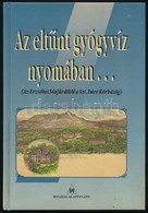 Dr. Back Frigyes: Az Eltűnt Gyógyvíz Nyomában... (Az Erzsébet Sósfürdőtől A Szt. Imre Kórházig.) Hn.,én., Hygieia Alapít - Zonder Classificatie