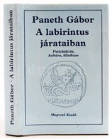 Paneth Gábor: A Labirintus Járataiban. Pszichiátria, Kultúra, Klinikum. Bp.,1985,Magvető. Kiadói Egészvászon-kötés, Kiad - Non Classés