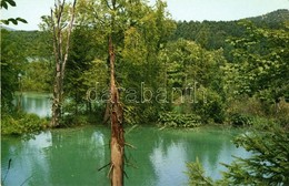 ** 5 Db MODERN Horvát Képeslap A Plitvicei Tavakról / 5 Modern Croatian Postcards From Plitvice Lakes - Non Classés