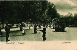 T3 1909 Brassó, Kronstadt, Brasov; Park, Hölgy Kutyával / Park, Lady With Dog (r) - Unclassified