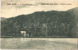 T2/T3 1929 Felsőbánya, Baia Sprie; Partie Dela Lacul Bódi / Bódi Tó. Kiadja Dácsek Péter / Lake (EK) - Unclassified