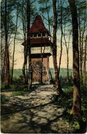 ** T2/T3 Segesvár, Schässburg, Sighisoara; Aussichtswarte / Kilátótorony. Kiadja Fritz Teutsch / Lookout Tower - Ohne Zuordnung