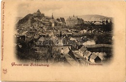 * T2/T3 Segesvár, Schässburg, Sighisoara; Látkép A Városházával. Kiadja Fritz Teutsch / Totalansicht / General View, Tow - Ohne Zuordnung