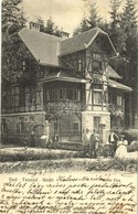 T3 1905 Tusnádfürdő, Baile Tusnad; Villa Elsa. Kiadja Müller Gy. Utóda, Tartler Alfréd / Villa (kis Szakadás / Small Tea - Ohne Zuordnung