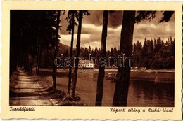 ** T1 Tusnádfürdő, Baile Tusnad; Tóparti Sétány A Csukás-tóval / Lake, Promenade - Unclassified