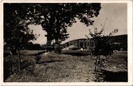 T2 1943 Zágon, Zagon; Mikes Kelemen Tölgyfái. Kiadja Lapikás Béla / The Oak Trees Of Kelemen Mikes - Ohne Zuordnung