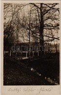 T2 1934 Zsély, Zelovce; Sósárfürdő, Park, Híd. G. Jilovsky Kiadása / Sosárske Lázne. Ciastka Parku / Spa, Park, Bridge - Sin Clasificación