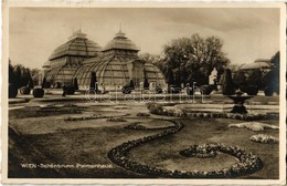 T1/T2 1931 Vienna, Wien, Bécs XIII. Schönbrunn, Palmenhaus / Palace Garden, Palm House - Non Classés