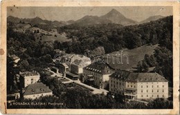 T2/T3 1933 Rogaska Slatina, Panorama / General View (fl) - Ohne Zuordnung