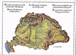 ** T4 Az Ezeréves Egységes Magyarország és A Trianoni Béke Szörnyszülöttje; Kiadja Az Urmánczy Akció. Kihajtható Lap Egy - Sin Clasificación