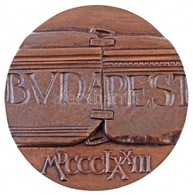 Asszonyi Tamás (1942-) 1973. 'Budapest MDCCCLXXIII / 1873-1973 Pest-Buda Egyesítésének Emlékére' Kétoldalas öntött Br Em - Unclassified