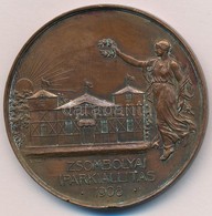 1908. 'Zsombolyai Iparkiállítás / Az érdem Jutalmául' Kétoldalas Br Plakett (50mm) T:2 Patina, Több Ph. - Sin Clasificación