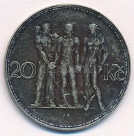 Csehszlovákia 1934. 20K Ag 'Ipar, Mezőgazdaság, üzlet' T:1- Patina
Czechoslovakia 1934. 20 Korun Ag 'Industry, Agricultu - Unclassified