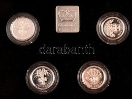 Nagy-Britannia 1984-1987. 1P Ag (4xklf) + 'Royal Mint' Ag Zseton T:PP
Great Britain 1984-1987. 1 Pound Ag (4xdiff) + 'Ro - Unclassified